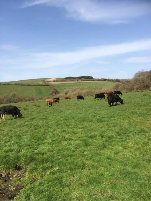 Farmer Bob'S Farmhouse Barnstaple Extérieur photo